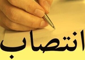سید هادی سید علیزاده فضلی به عنوان دبیر هیات ورزش های سه گانه استان منصوب شد