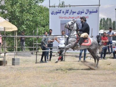 فستیوال کشوری شوی سوارکاری در مرند برگزار شد