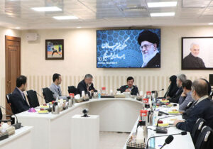 دومین نشست ستاد بازیهای پارالمپیک پاریس برگزار شد