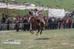 جشنواره اسب دوانی همه چیز داشت جز اسب
