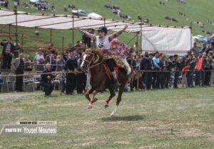 جشنواره اسب دوانی همه چیز داشت جز اسب